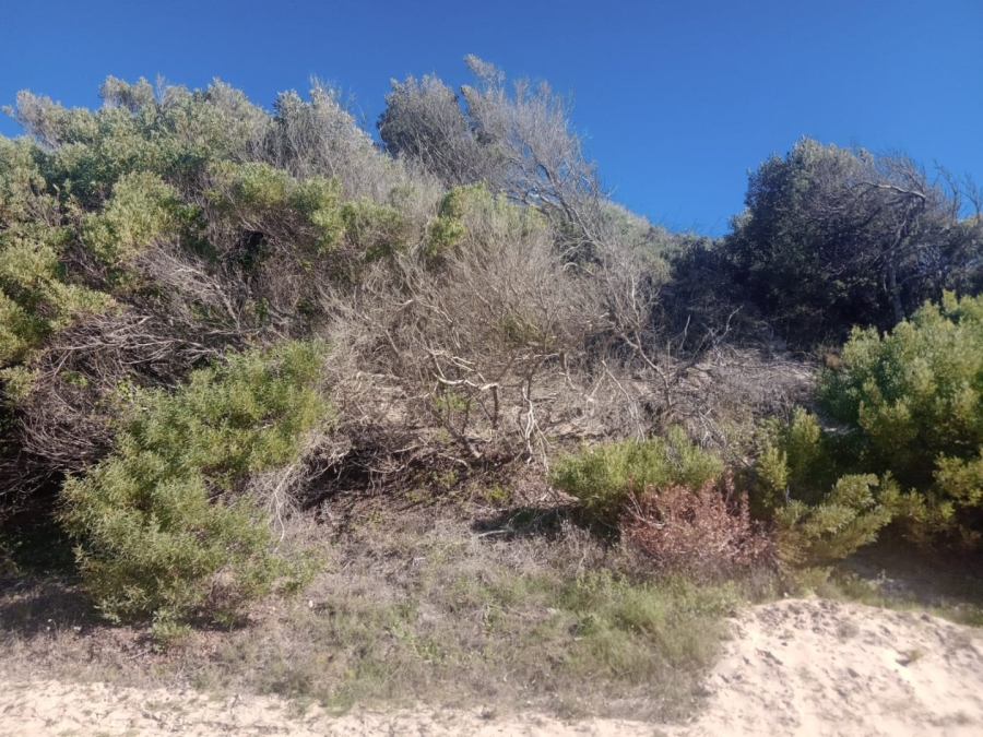 Commercial Property for Sale in Paradise Beach Eastern Cape